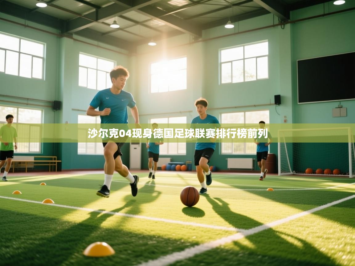 沙尔克04现身德国足球联赛排行榜前列 第2张