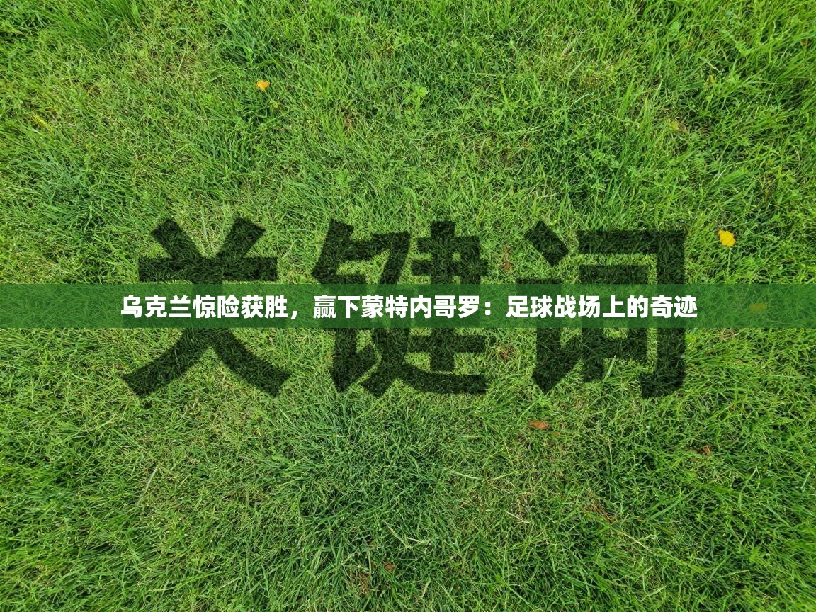 乌克兰惊险获胜，赢下蒙特内哥罗：足球战场上的奇迹  第2张