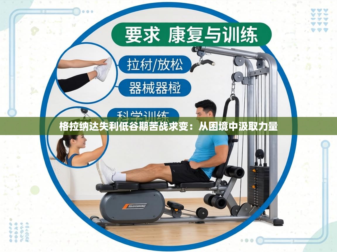 格拉纳达失利低谷期苦战求变:从困境中汲取力量 第2张